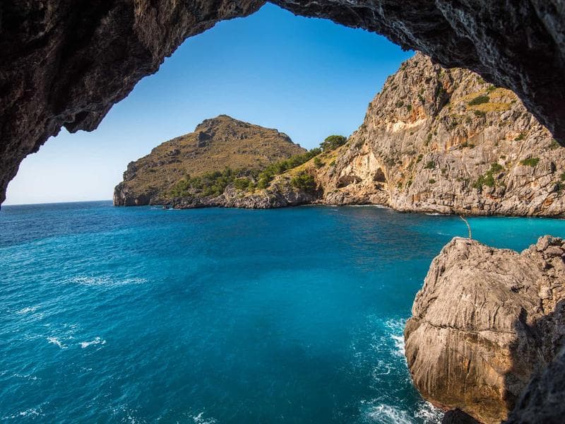 Ethical Alignment at Scale