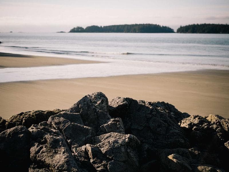 Full-Stack AI Applications